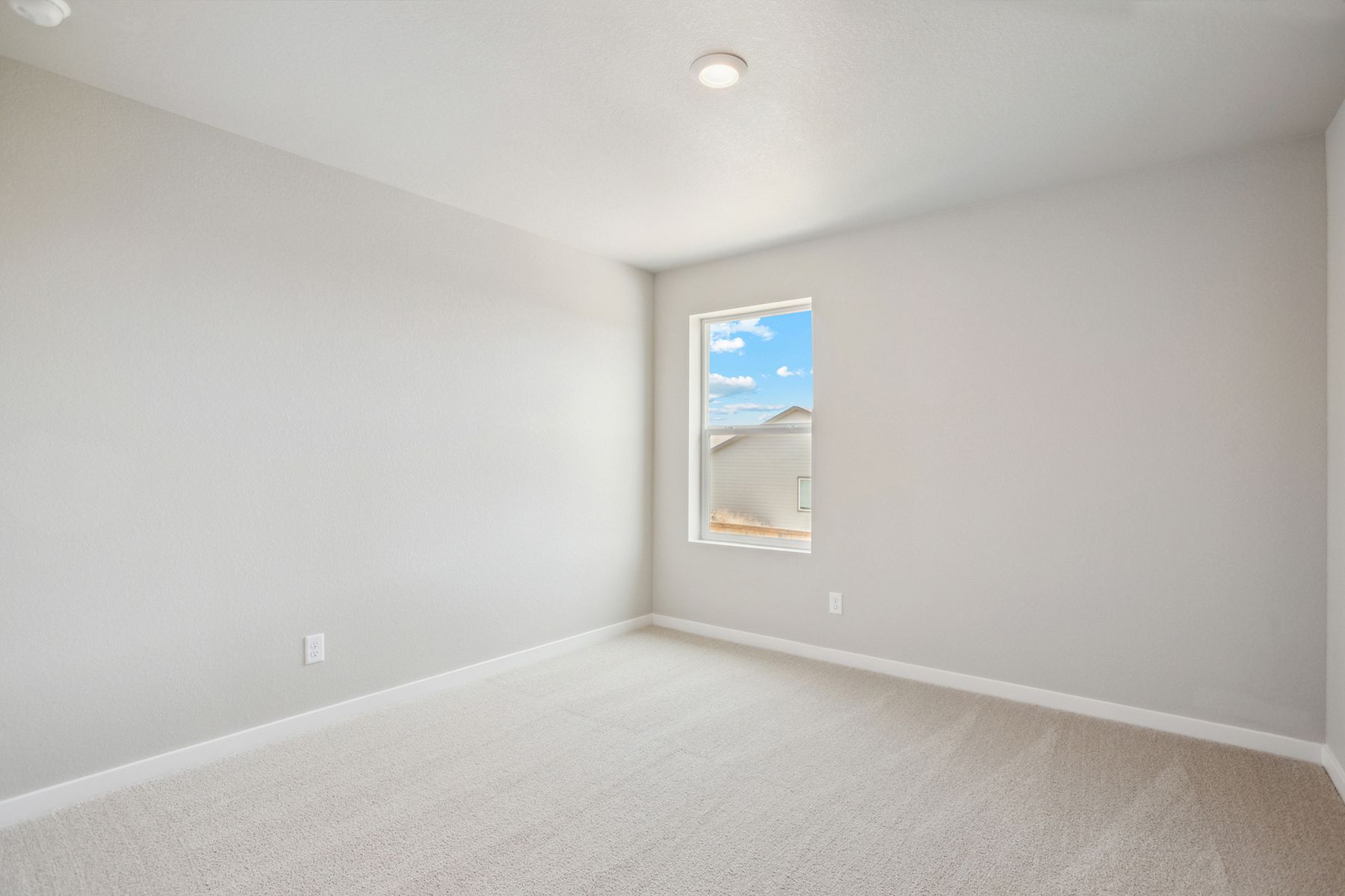 The secondary bedrooms have carpet.