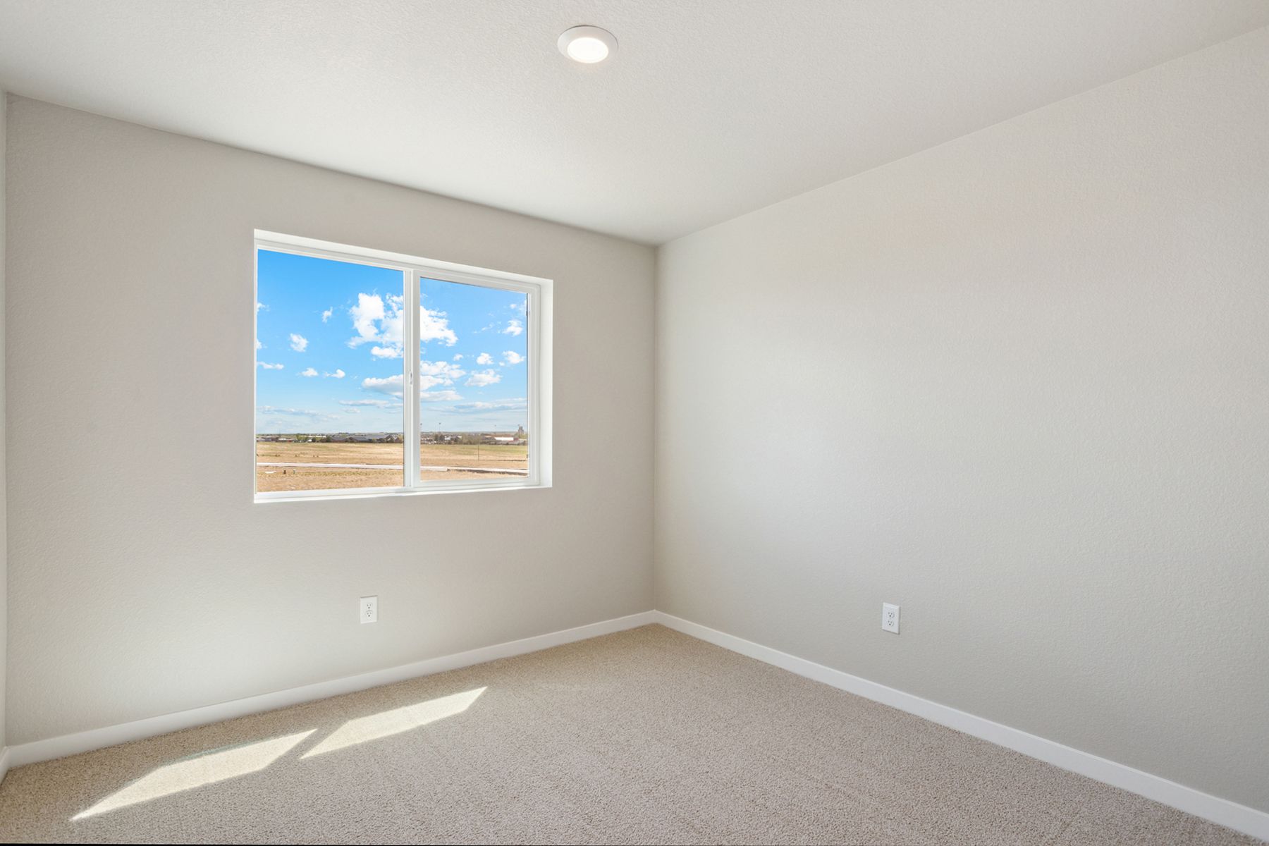 The secondary bedrooms have carpet.