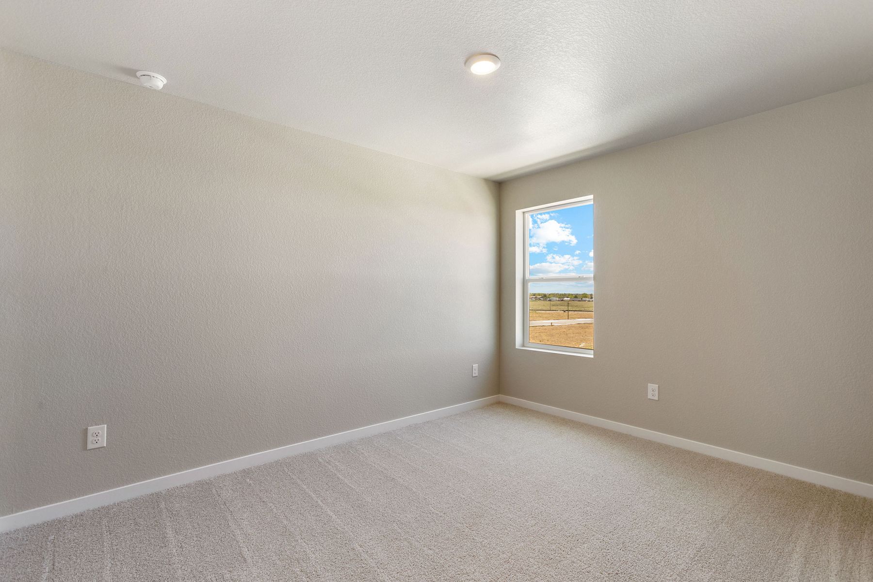 The secondary bedrooms have carpet.
