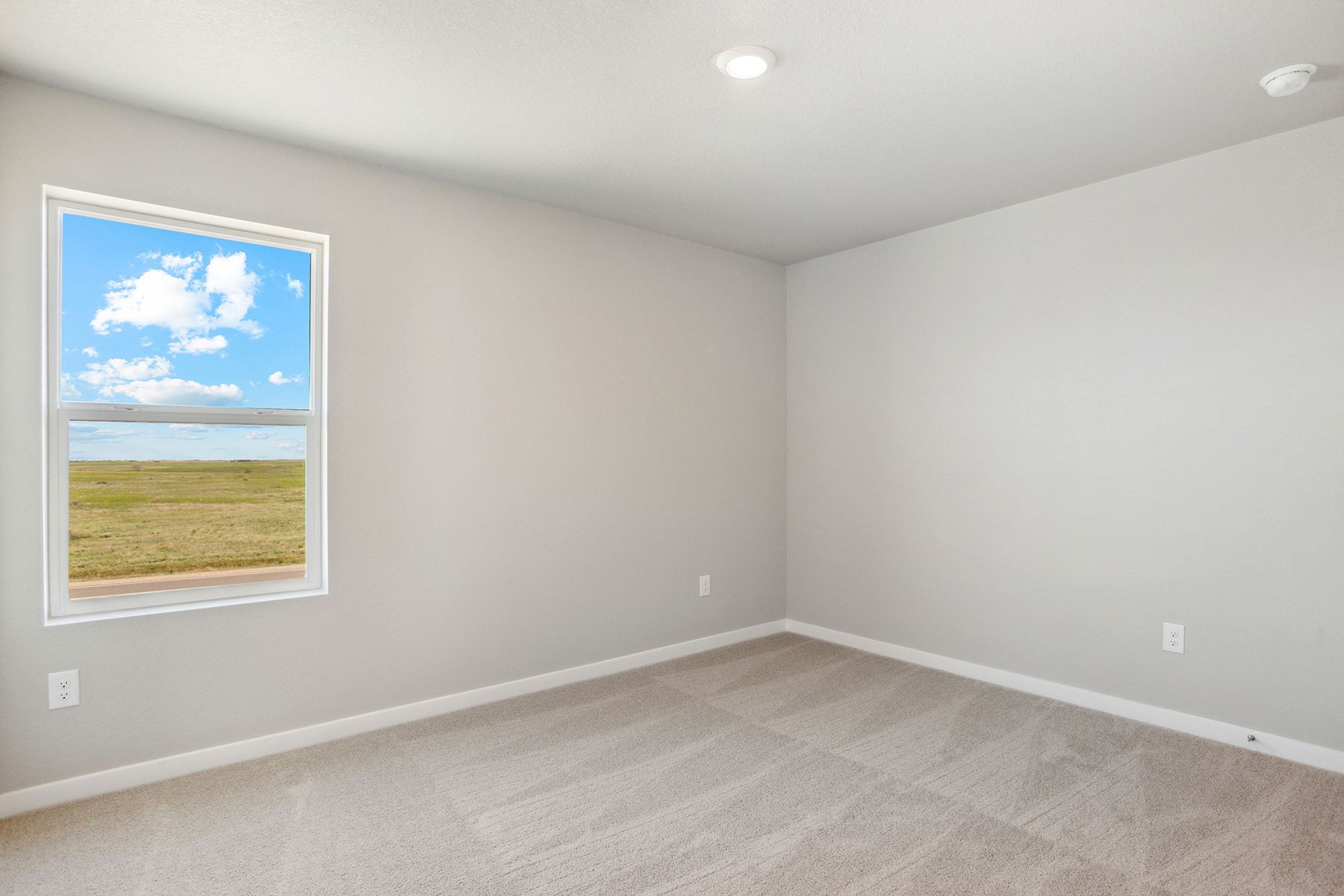 The secondary bedrooms have carpet.
