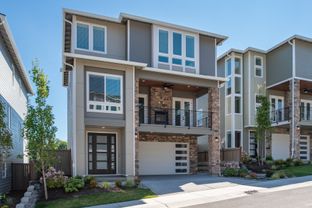 Cameo - Skyway Village: Seattle, Washington - Terrata Homes