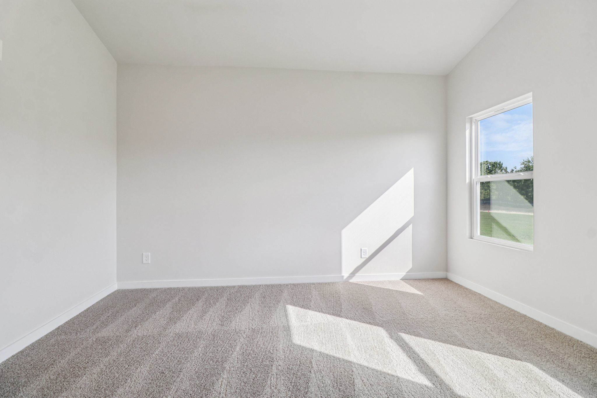 Carpet in the bedrooms