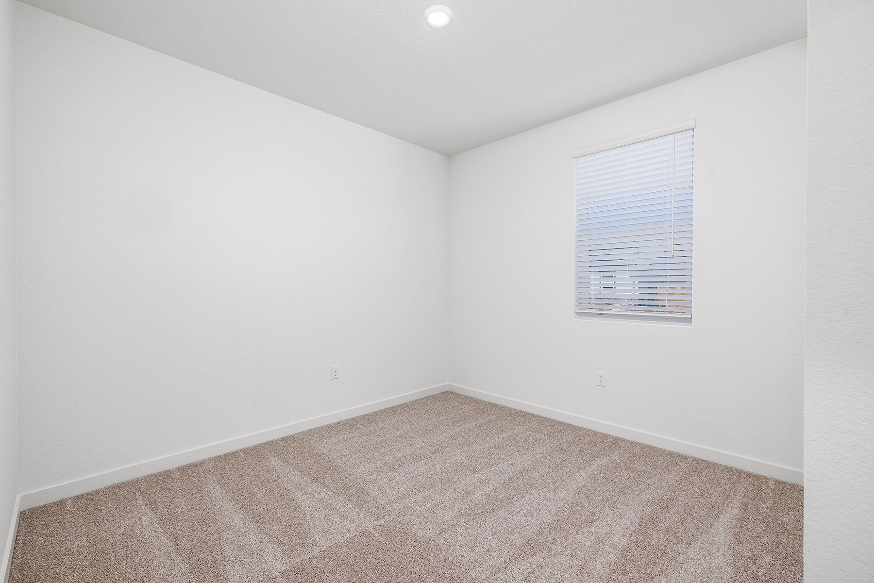 The secondary bedrooms have carpet.
