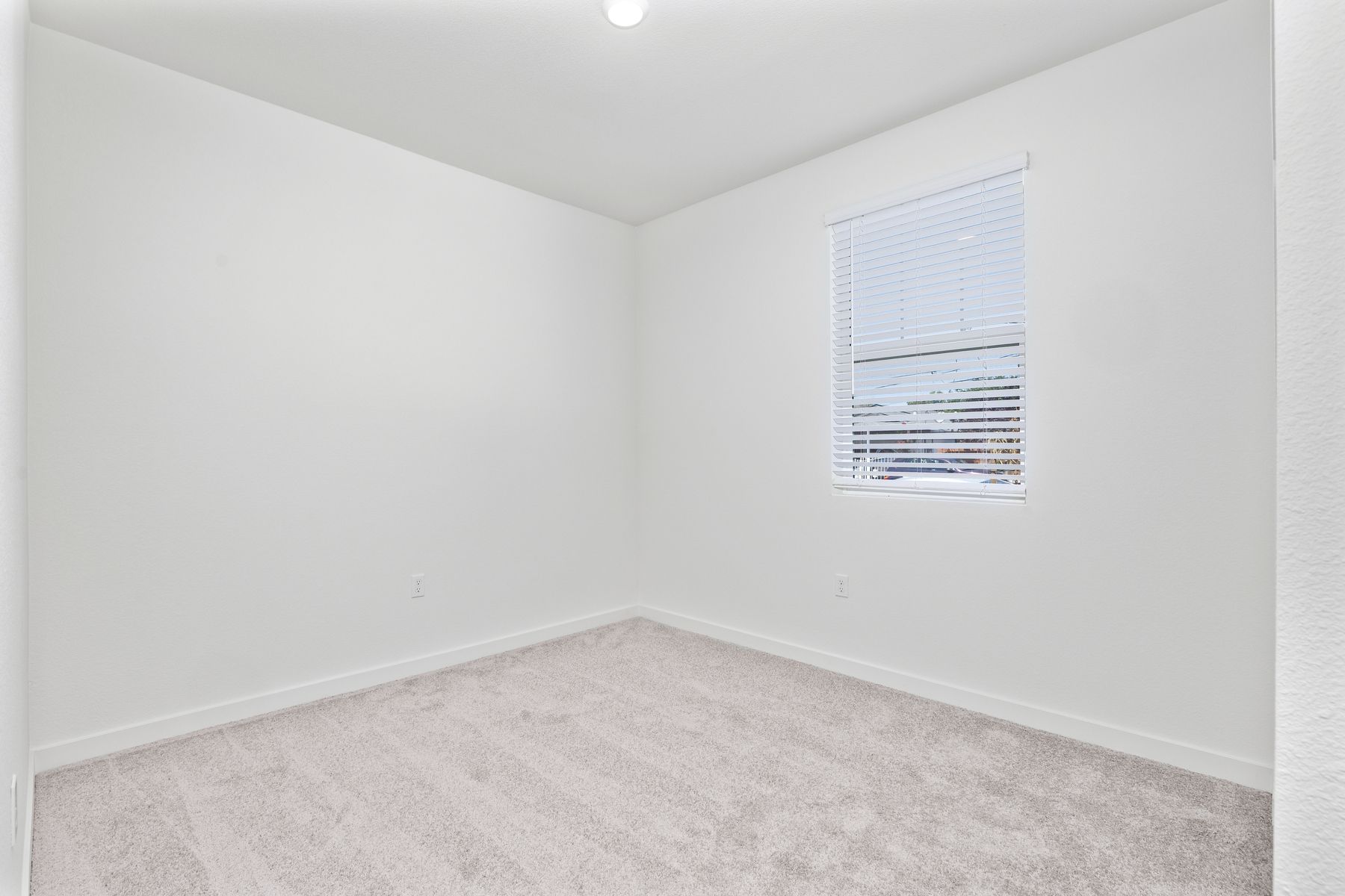 The secondary bedrooms have carpet.