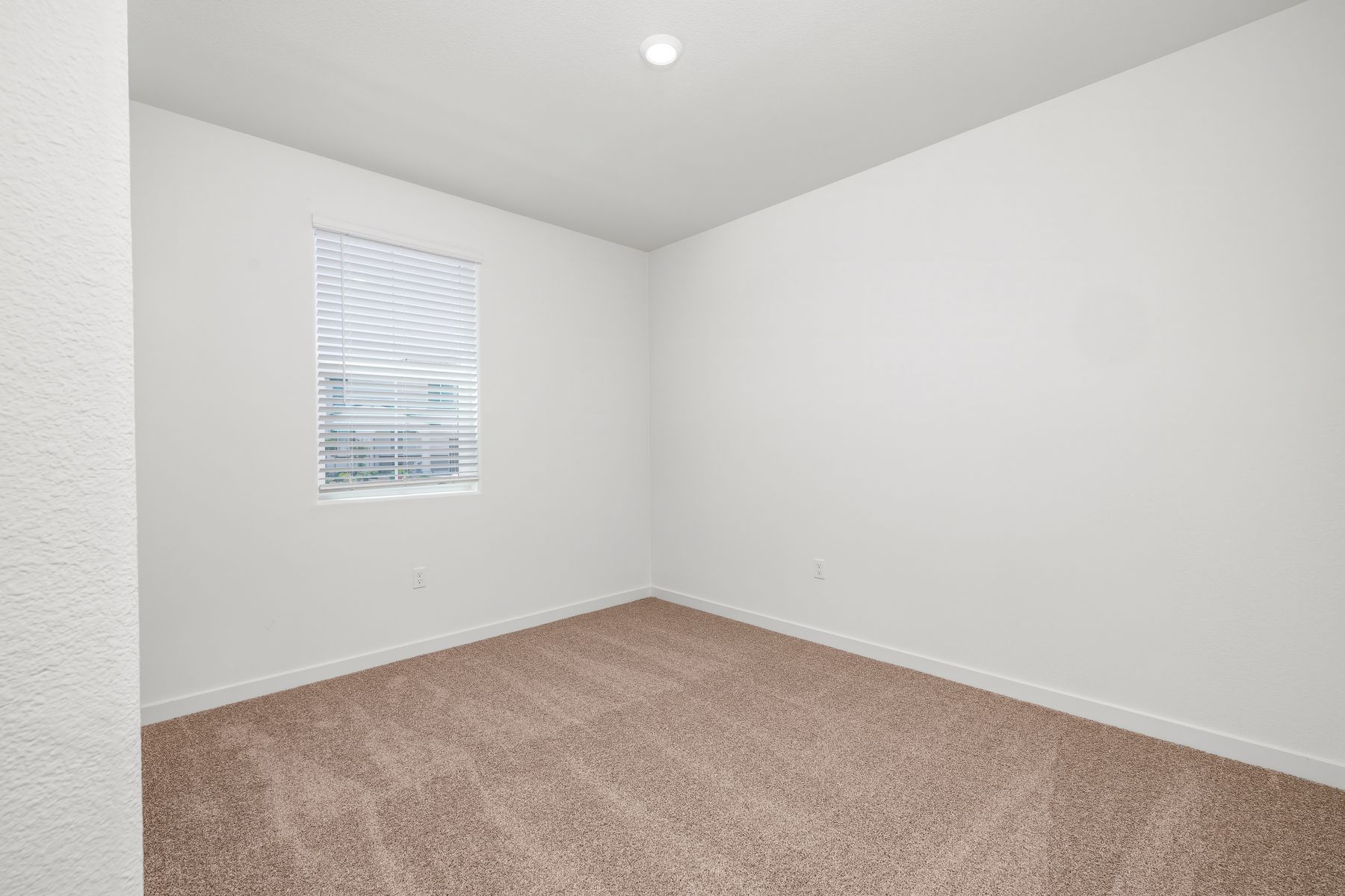 The secondary bedrooms have carpet.