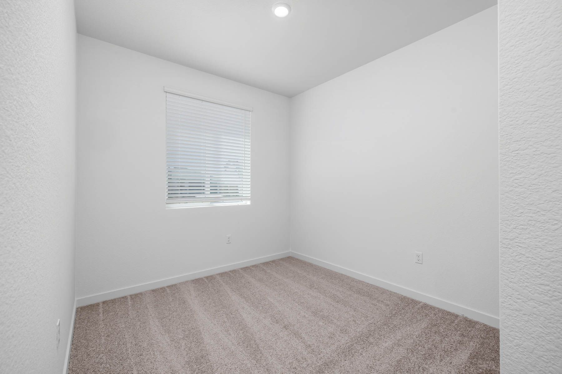 The secondary bedrooms have carpet.