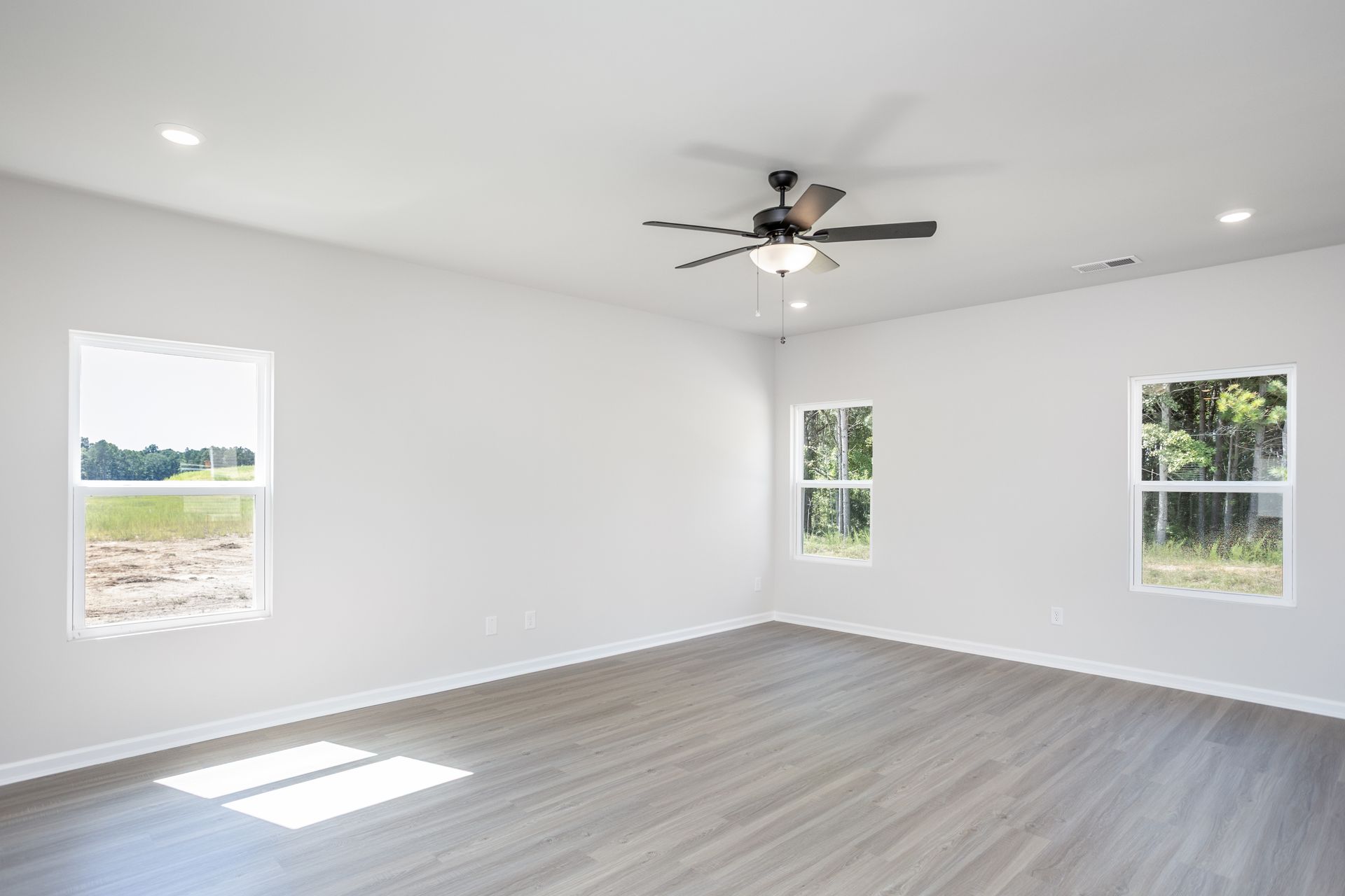 Fan in the living room