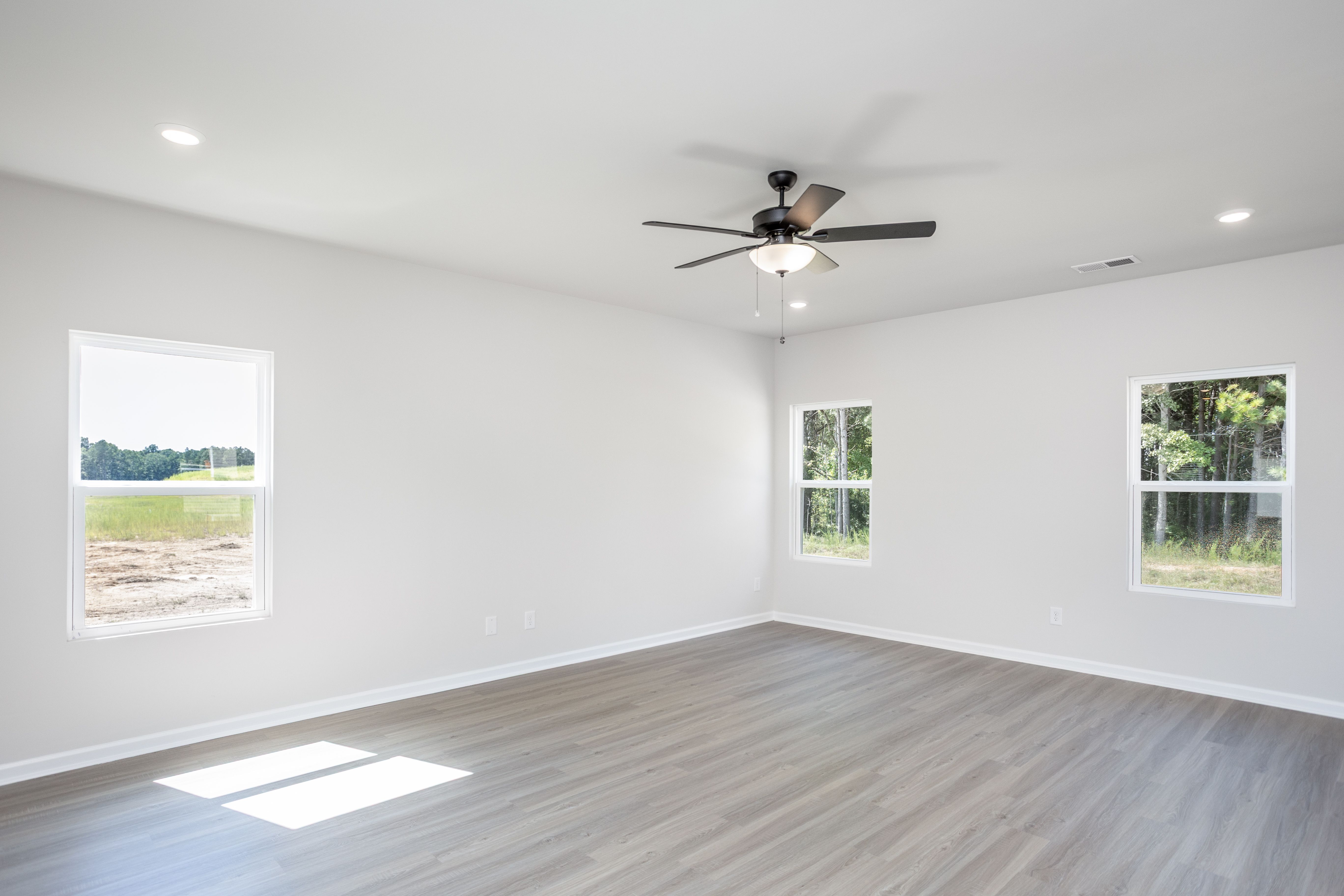 Fan in the living room