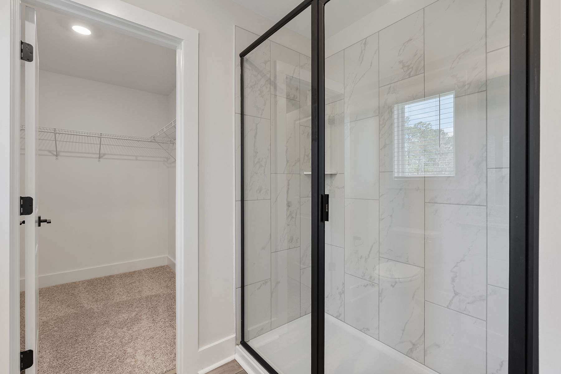 Glass-enclosed shower