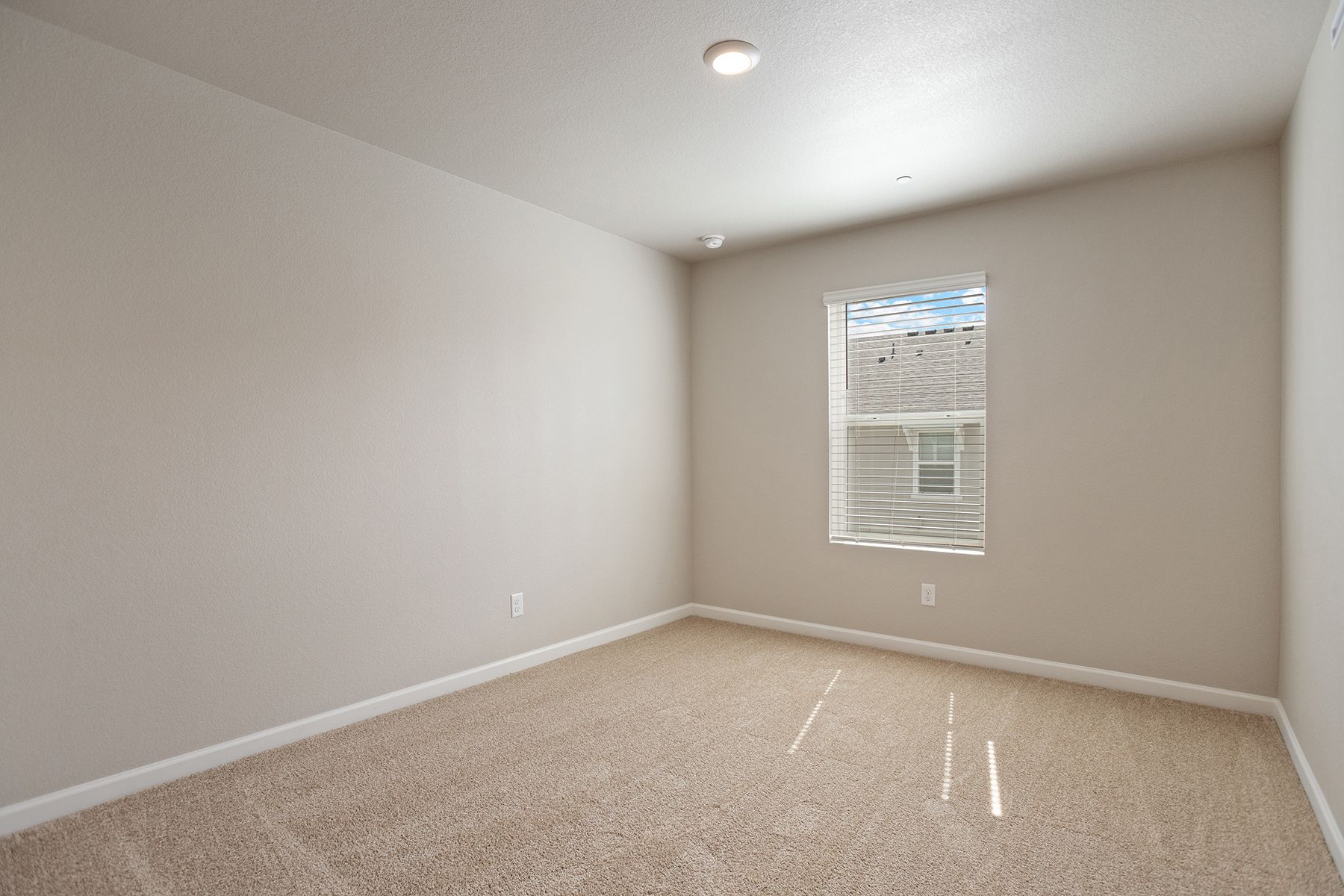 The secondary bedrooms have carpet.