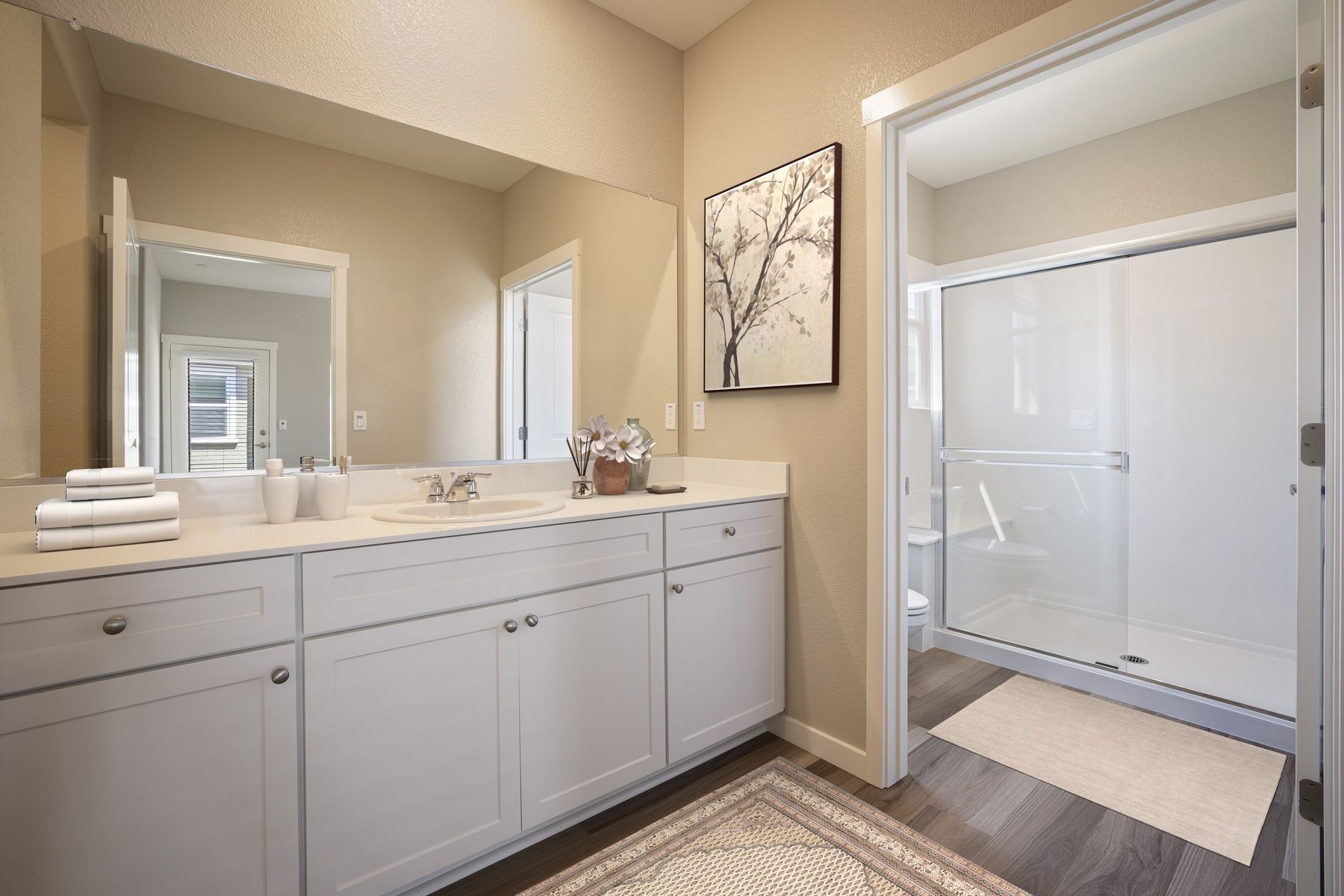 The master bathroom has a large vanity and a step in shower.