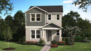 Overlook - Spring Walk at The Junction: Debary, Florida - Landsea Homes