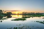 Trinity Gardens - Deland, FL