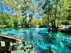 Trinity Gardens - Deland, FL
