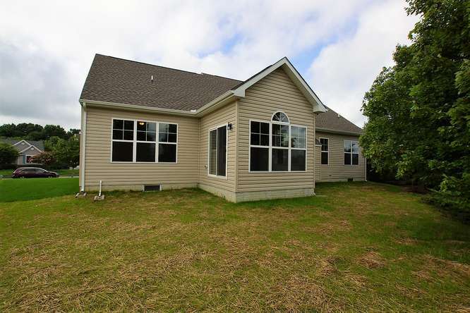 Rear Elevation 