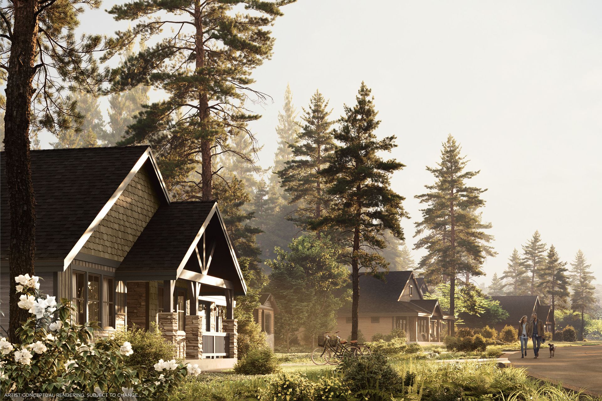Intended look of neighborhood.