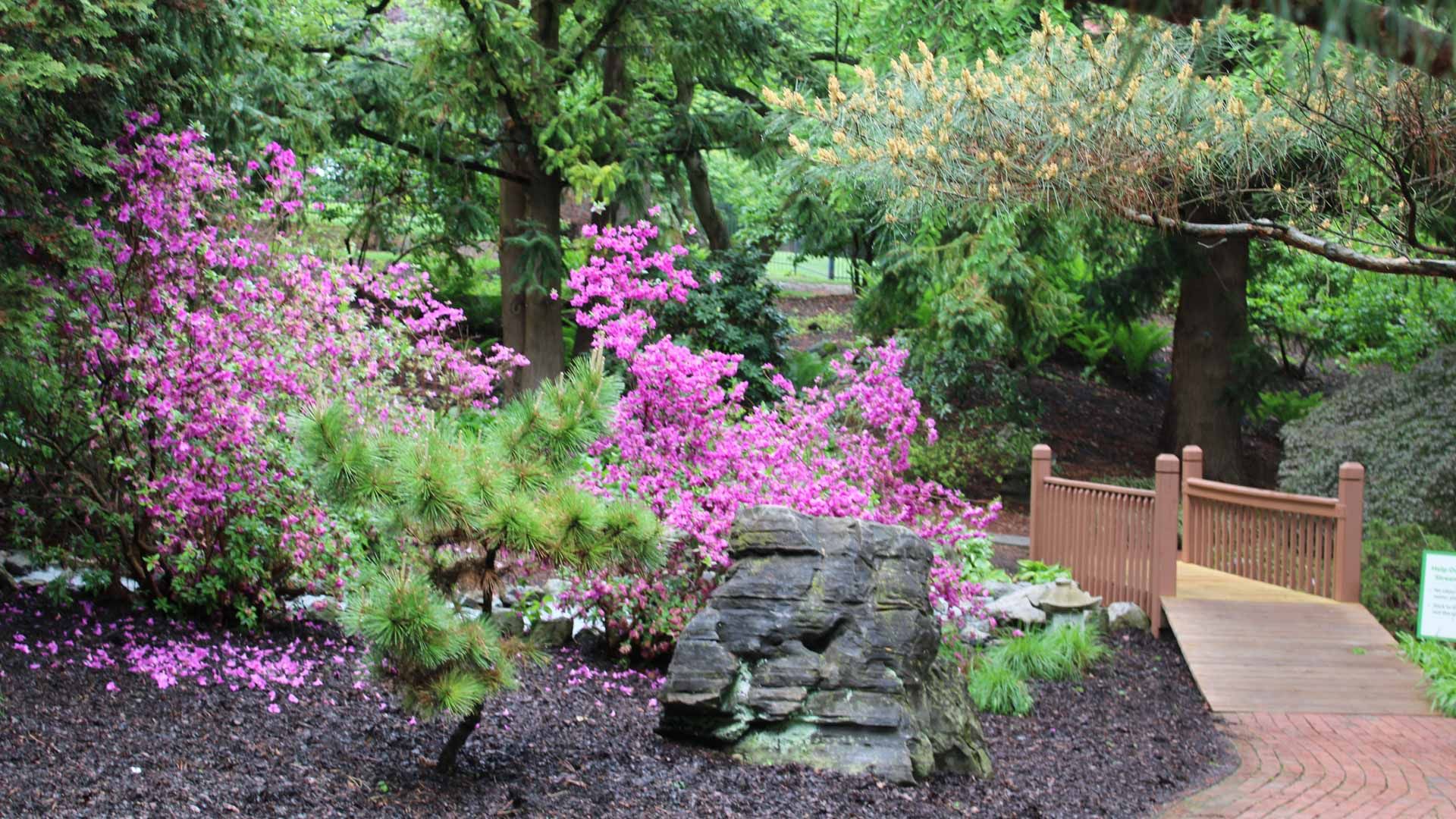 Hershey Gardens near Palmyra PA