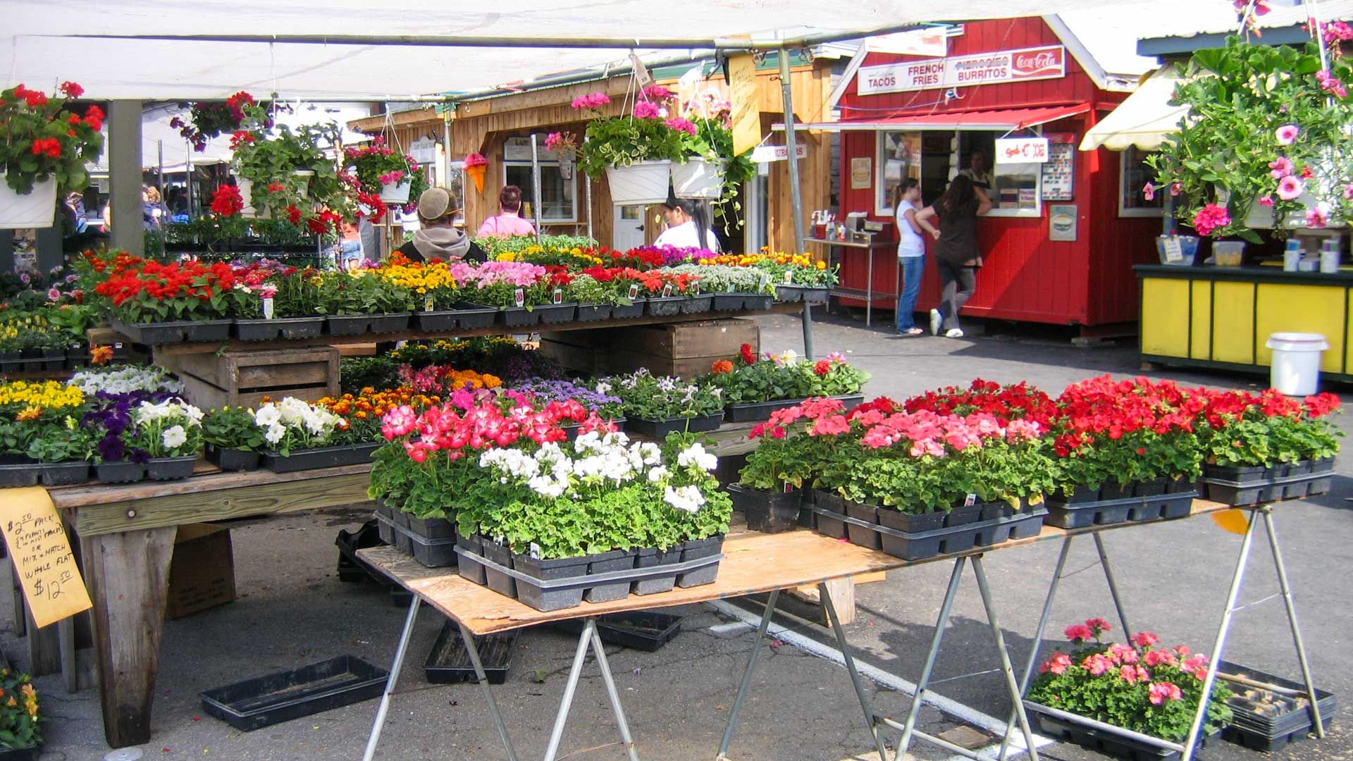 Green Dragon Flea Market Ephrata PA