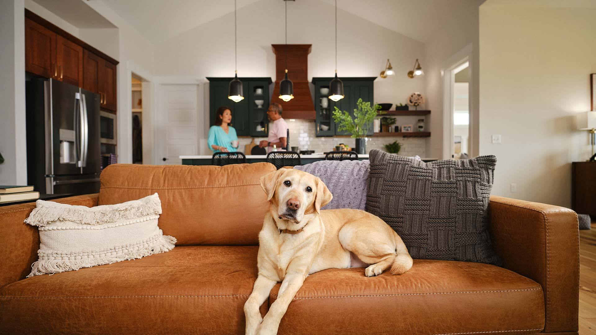 55+ Community Lifestyle - New Home Construction in a 55+ Community