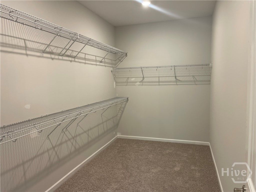 LARGE Walk in Primary Closet