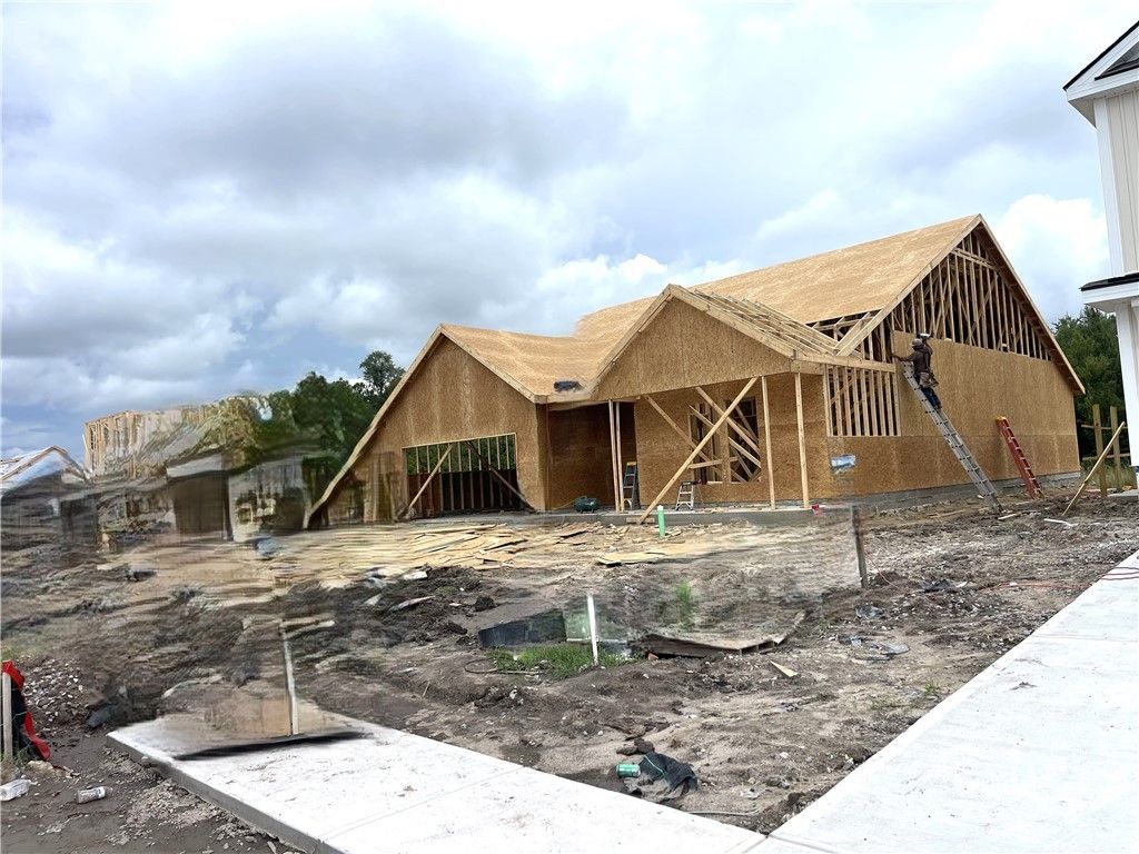 Pic Taken Aug 8th.  We're out of the ground!