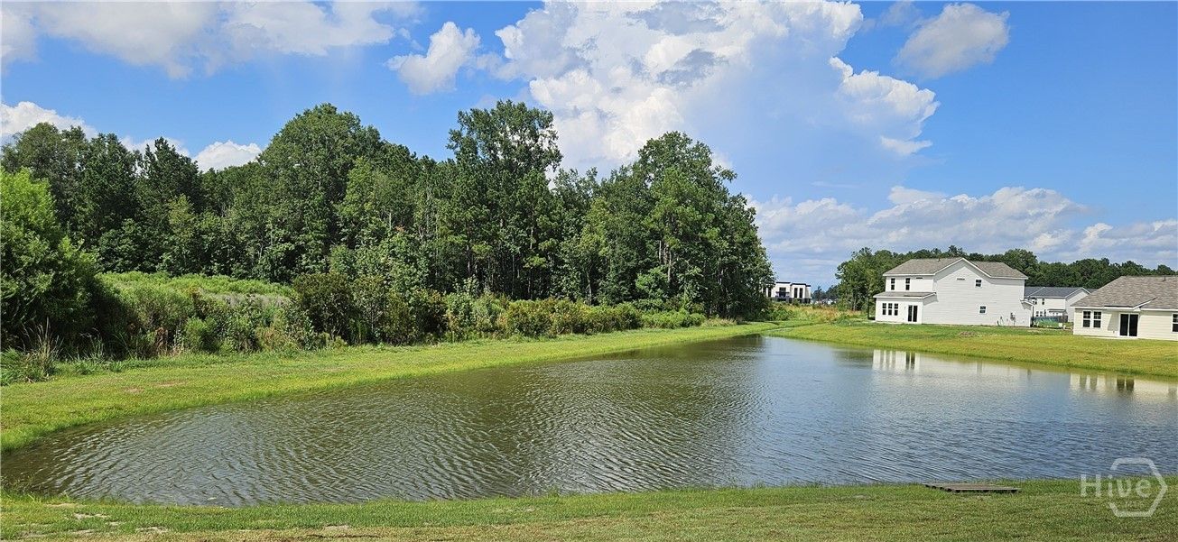 Back Yard Lagoon View