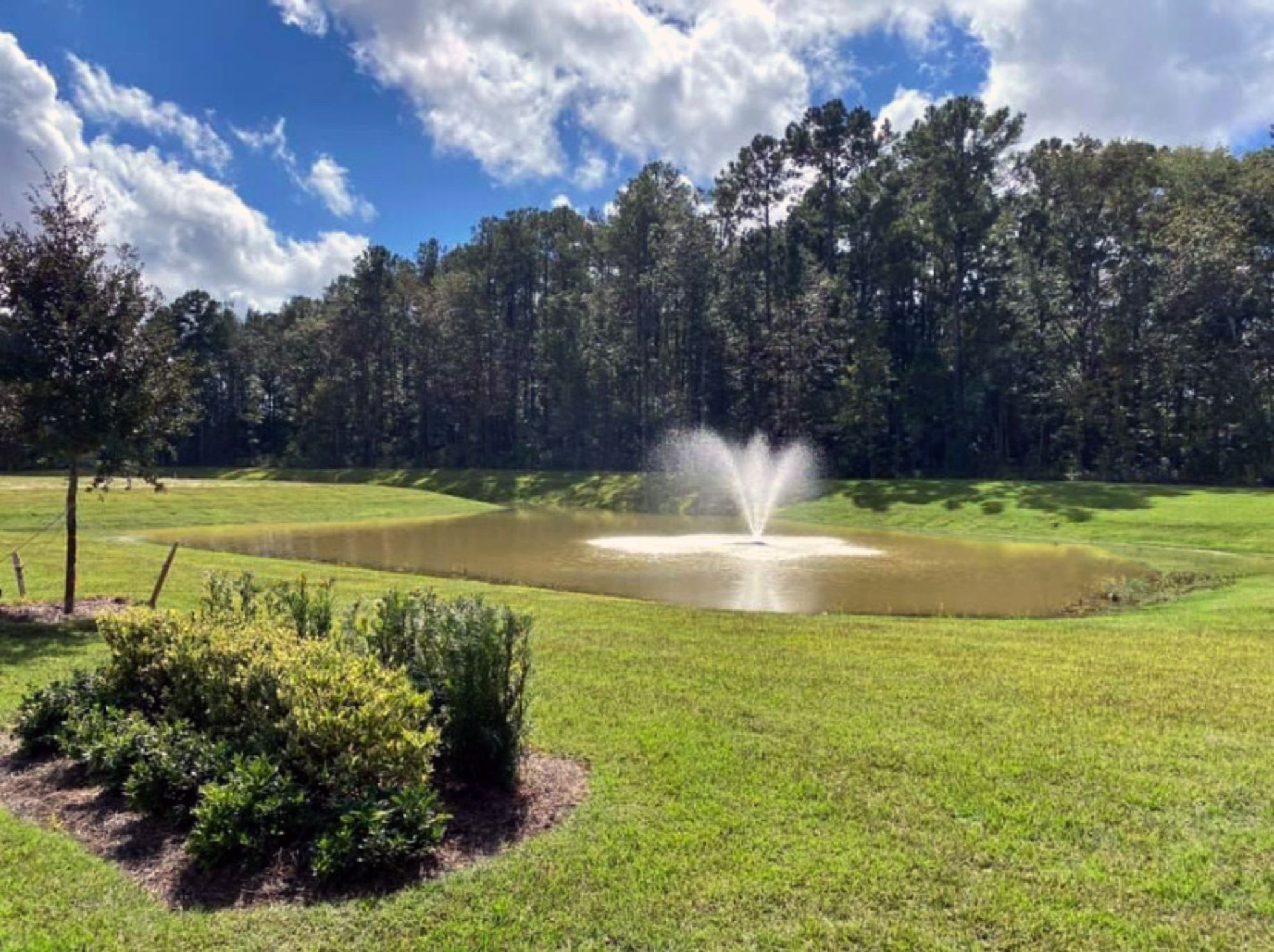 Image of Wexford community in Richmond Hill GA