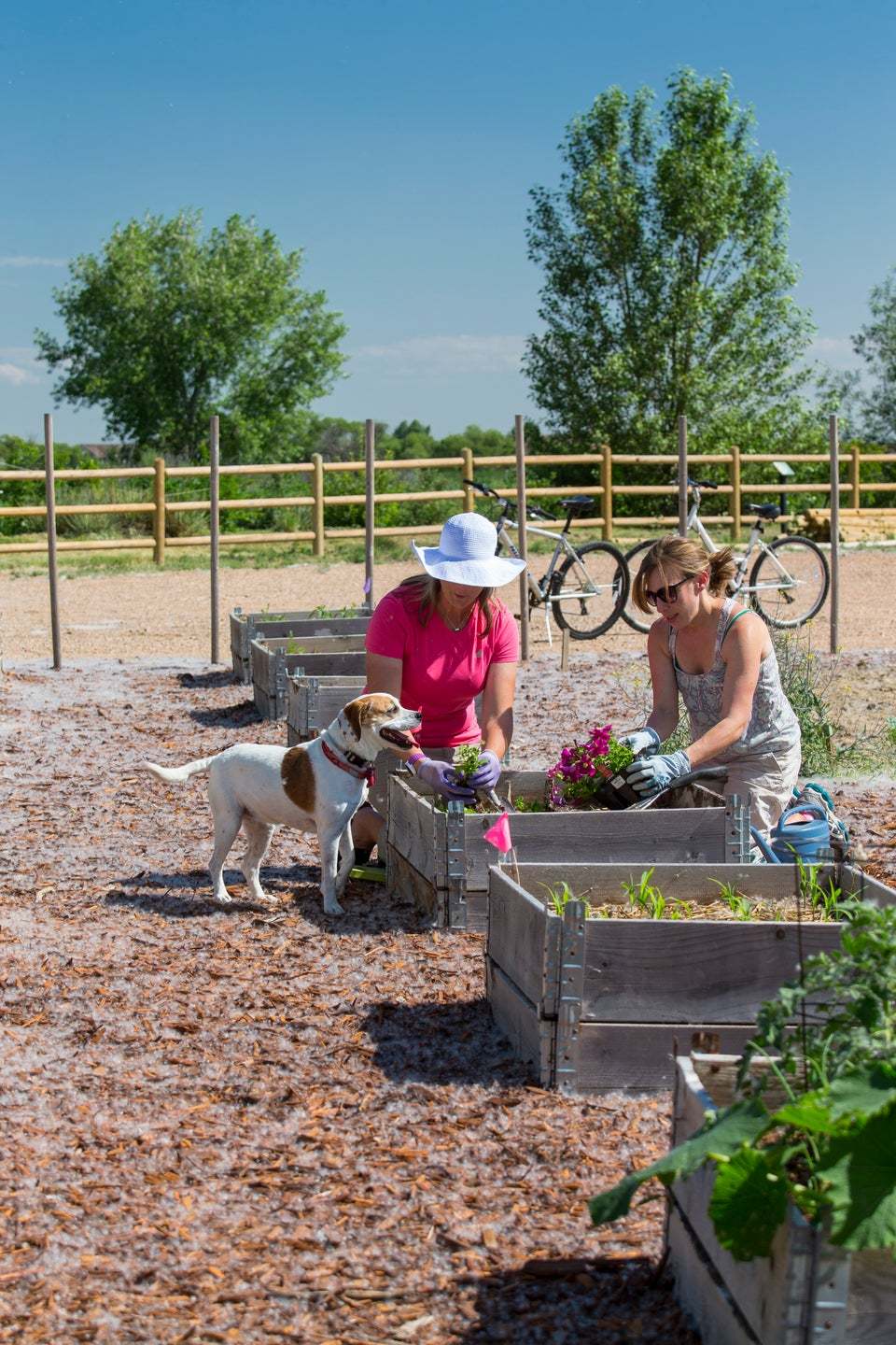 Community Garden