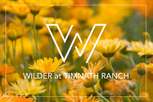 Home in Wilder at Timnath Ranch by Landmark Homes - CO