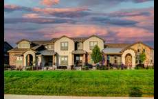 Vernazza: Windsor, Colorado - Landmark Homes - CO