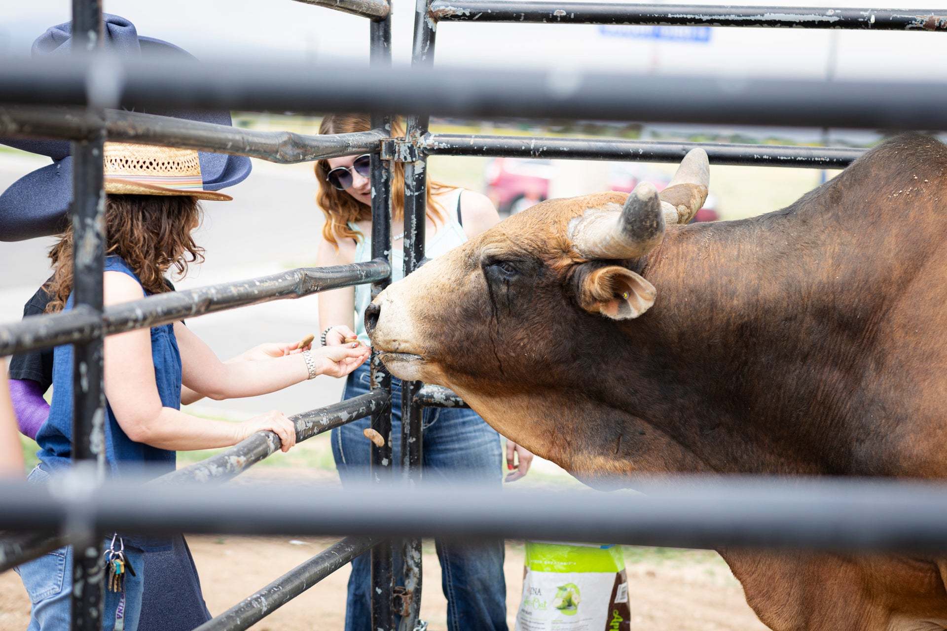 Wilder Grand Opening