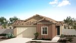 Home in Valencia at Citrus Park by Landsea Homes