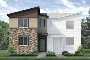 Pintail Commons at Johnstown Village - Johnstown, CO