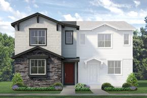 Pintail Commons at Johnstown Village - Johnstown, CO