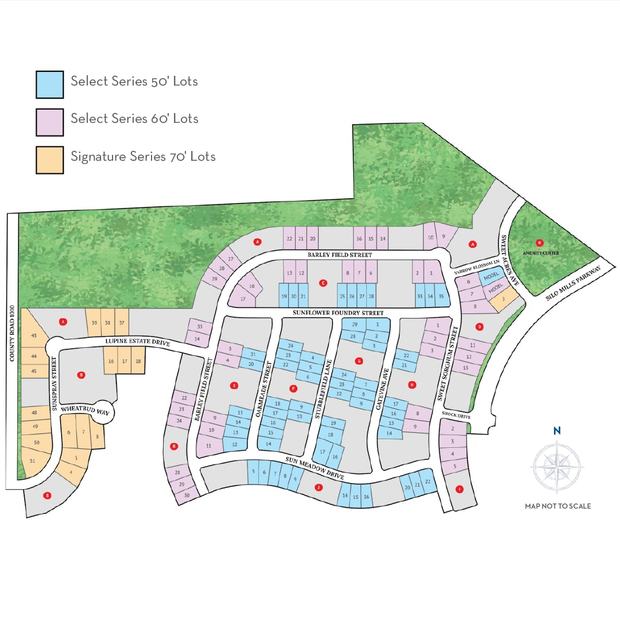 Community map