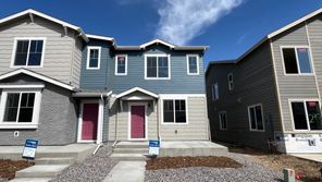 292 Shoveler Way (Congaree)