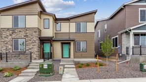 299 Shoveler Way (Congaree)