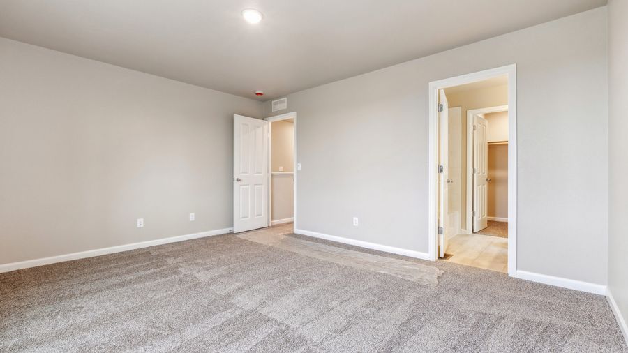 299 Shoveler Way (Congaree)