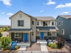 Pintail Commons at Johnstown Village - Johnstown, CO