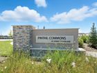 Pintail Commons at Johnstown Village - Johnstown, CO