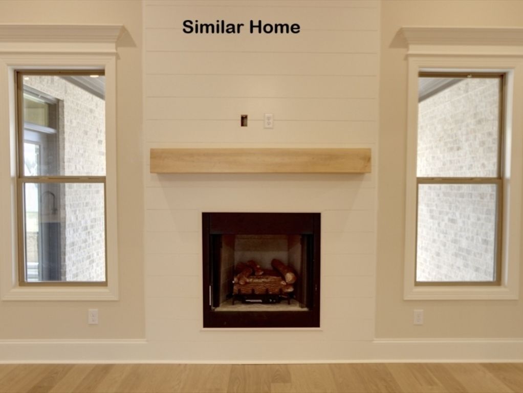 Family Gas Fire Place