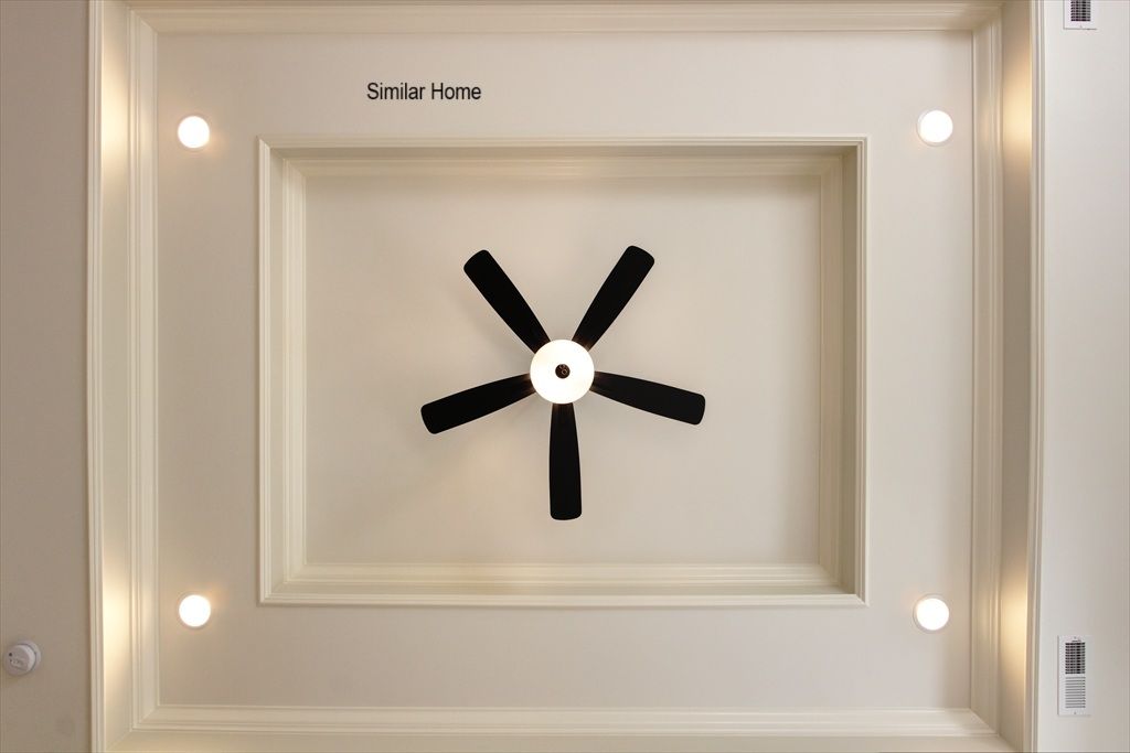 Master Tray Ceiling