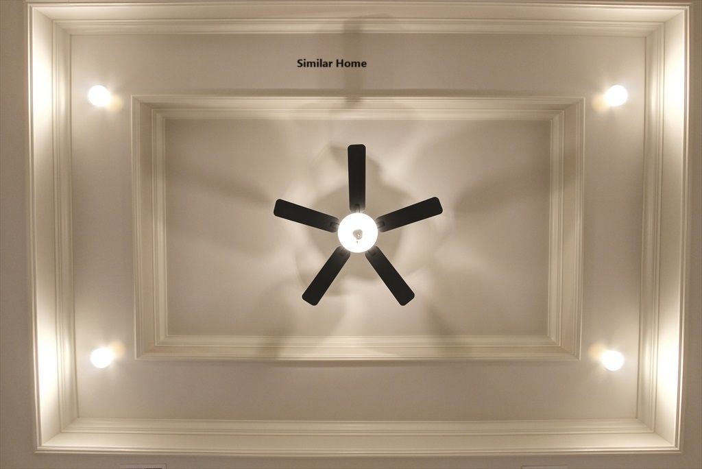 Master Trey Ceiling