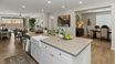 casa en Montrose por Legacy Homes