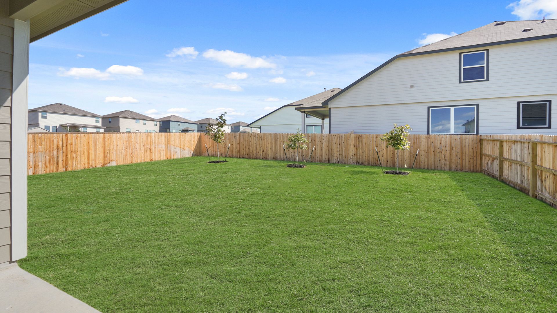Backyard
