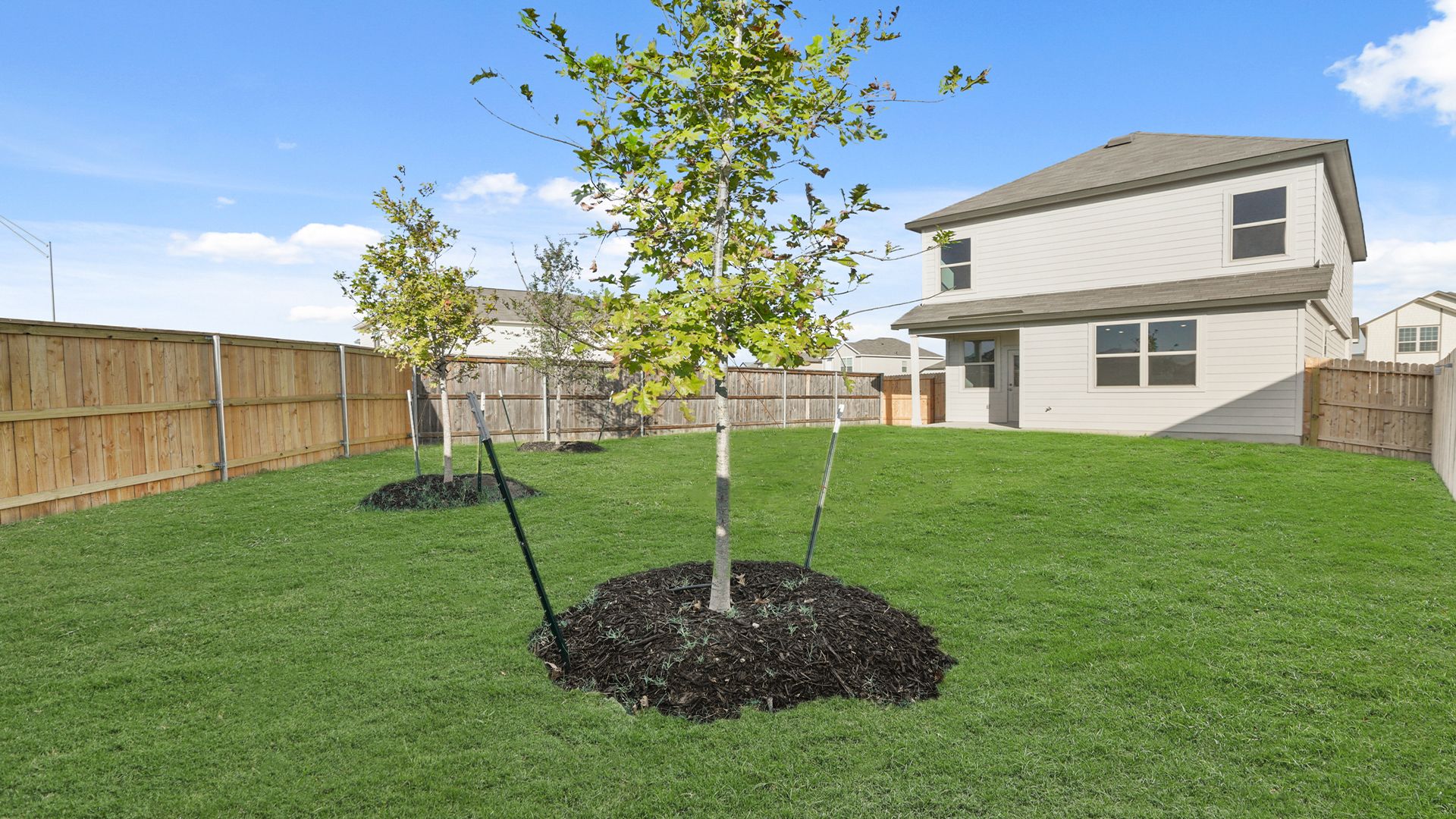 Backyard