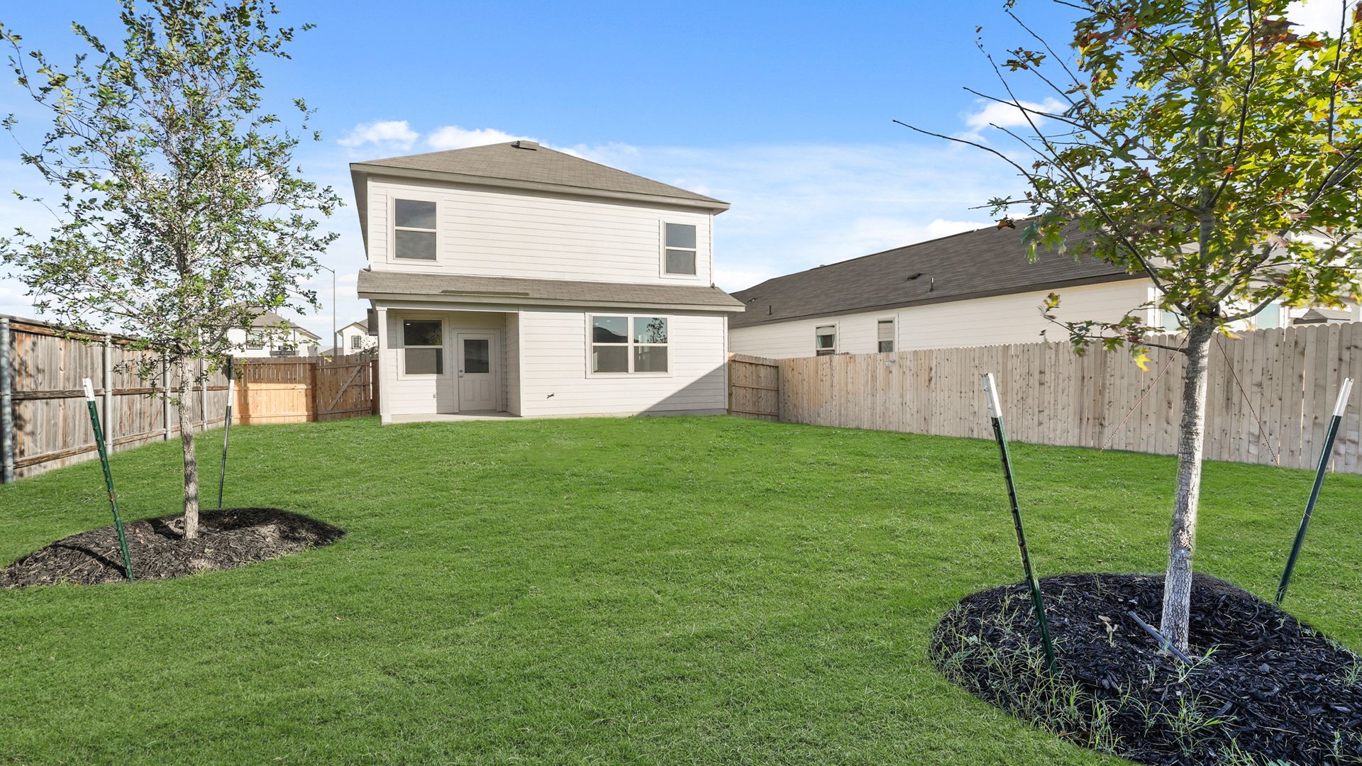 Backyard
