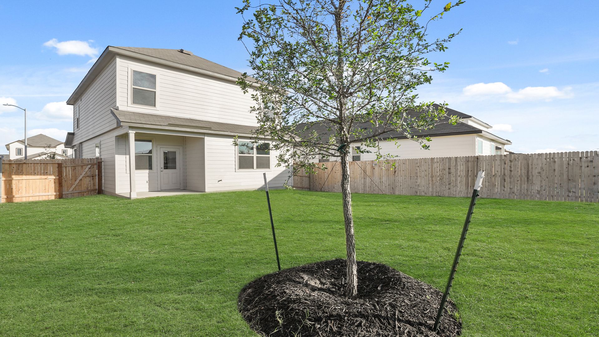 Backyard