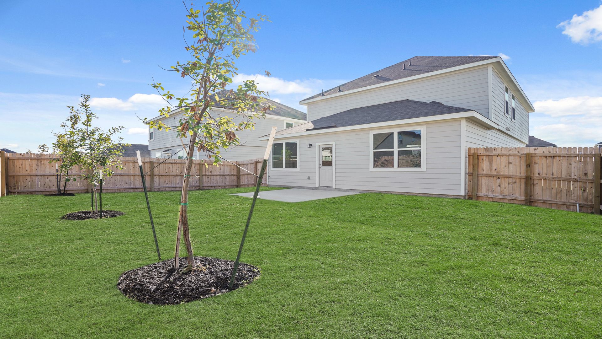 Backyard