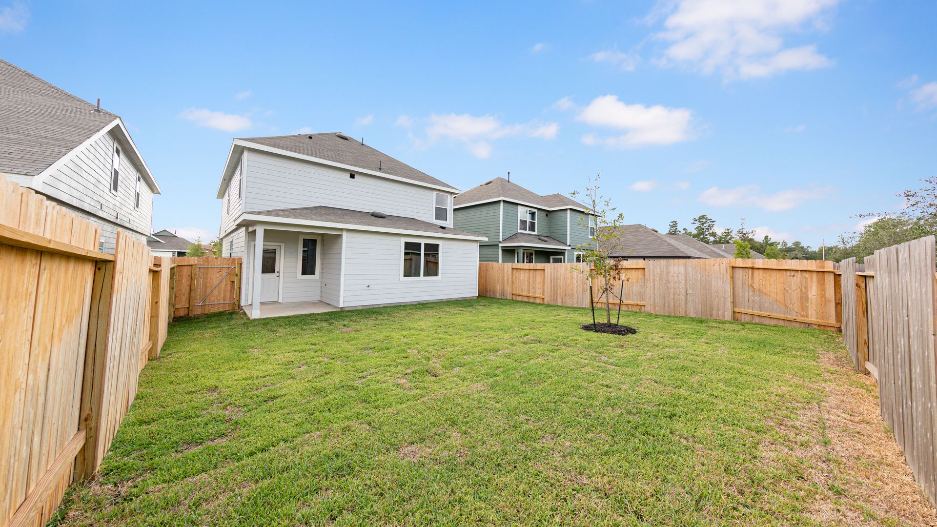 Backyard